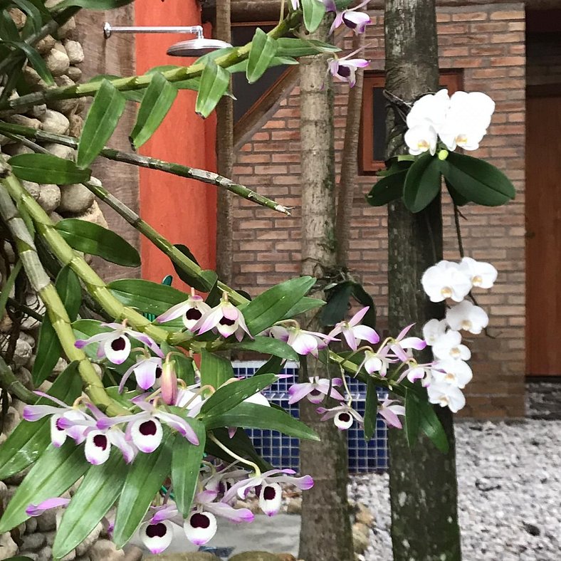 LALABELLA ITAGUÁ - QUARTO VERMELHA DO NORTE